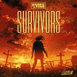 Harris & Ford - Survivors