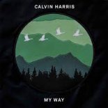 Calvin Harris - My Way (Ayur Tsyrenov DFM Remix)