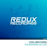 Cool Brothers - The Meaning Of Life (Extended Mix)