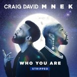 Craig David feat. MNEK - Who You Are (Stripped)
