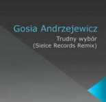 Gosia Andrzejewicz - Trudny wybór (Sielce Records Remix)