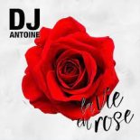 DJ Antoine - La Vie En Rose (DJ Brooklyn Edit)