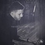 Robin Bengtsson - Never Born To Love (Original Mix)