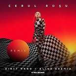 Dirty Nano, Alina Eremia - Cerul Rosu (Original Mix)