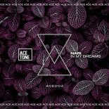 Nari - In My Dreams (Original Mix)