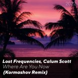 Lost Frequencies x Calum Scott - Where Are You Now (Kormashov Remix)