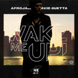 Afrojack & David Guetta vs. Avicii - Hero Wake Me Up (Riccardo Carita Mashup)