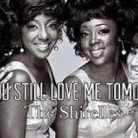 The Shirelles - Will You Still Love Me Tomorrow ( Doubledeejay House Remix )