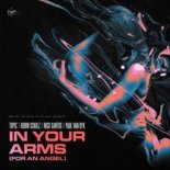 TOPIC x Robin Schulz & Paul van Dyk - IN YOUR ARMS (For An Angel) [Extended Mix]