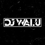 DJ WALU - POMPA VIXA TOTALNY ROZPRDOL [JAZDA Z KUR*AMI VOL.7]