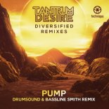 Tantrum Desire - Pump (Drumsound Bassline Smith Remix)