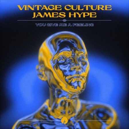 Vintage Culture - You Give Me A Feeling