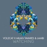 Vol2Cat x Milan Tavares & Lambi - Watching (Extended Mix)
