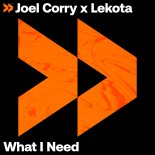 Joel Corry, Lekota - What I Need (Extended Mix)