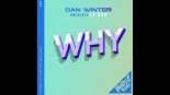 Dan Winter ft.LT Dan - Why 2022 (Extended Mix)