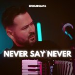 Edward Maya feat Violet Light - Never Say Never