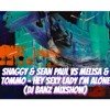Shaggy & Sean Paul vs Melisa & Tommo – Hey Sexy Lady I'm Alone (DJ Banz Mixshow)
