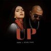 INNA & Sean Paul - UP (Via65 Remix)