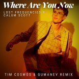Lost Frequencies & Calum Scott - Where Are You Now (Gumanev & Tim Cosmos Remix) [Radio Edit]
