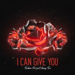 Techno Project & Geny Tur - I Can Give You( Radio Edit )