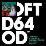 Sonny Fodera, SHELLS, Vintage Culture - Nightjar feat. SHELLS (Extended Mix)