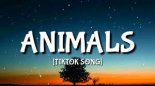 Maroon 5 - Animals Tik Tok Trending Song Maroon 5 Lyrics