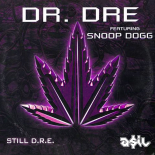 Dr. Dre feat. Snoop Dogg - Still D.R.E. (ASIL House Rework)