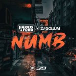 Harris & Ford x DJ Gollum - Numb (Extended Mix)