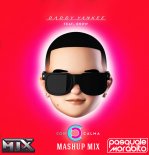 Daddy Yankee, Snow - Con Calma (MJX & Pasquale Morabito Mashup Mix)