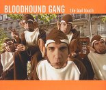 Bloodhound Gang vs. Martin Solveig - The Bad Touch (Torena Mashup)