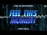 Pitbull feat. Christina Aguilera - Feel This Moment (BR3NVIS Bootleg)