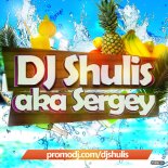 Tiësto & Karol G - Don't Be Shy (DJ Shulis aka Sergey Remix)