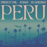 Fireboy Dml feat. Ed Sheeran - Peru (R3hab Remix)