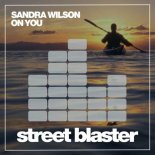 Sandra Wilson - On You (Club VIP Mix)