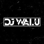 DJ WALU - POMPA VIXA TOTALNY ROZPIERDOL [POLSKI RAP W REMIXACH VOL.16]