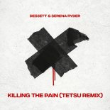 Des3Ett feat. Serena Ryder - Killing The Pain (Tetsu Remix)