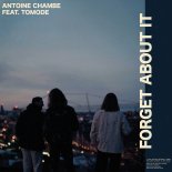 Antoine Chambe Feat. Tomode - Forget About It