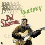 Del Shannon feat. T La Rock - Runaway (foolproof-Remix)