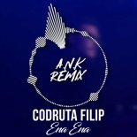 Codruta Filip - Ena Ena (A.N.K Remix)