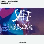 Lujan Fernandez - Never Stop (Original Mix)