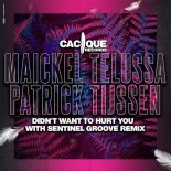 Maickel Telussa, Patrick Tijssen - Didn't Want to Hurt You (Sentinel Groove Remix)