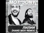 Мот, JONY - Лилии (Hang Mos Radio Edit)