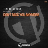 Sentinel Groove - Don't Miss You Anymore (Original Mix)