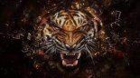 Survivor - Eye of the tiger (Ayur Tsyrenov remix 2022 )