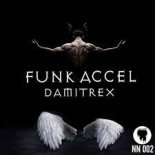 Damitrex - Funk Accel (Radio Edit)