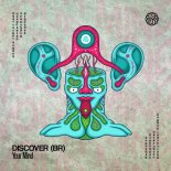 Discover (BR) - Lick It (Original Mix)