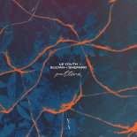 Le Youth x Sultan + Shepard Feat. Emily Falvey - Pattern