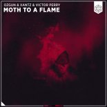 Ozgun, XanTz Feat. Victor Perry - Moth To A Flame (Extended Mix)