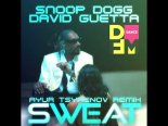 Snoop Dogg & David Guetta — Sweat (Ayur Tsyrenov DFM remix)