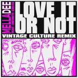 Mella Dee feat. Infinite Coles - Love It or Not (Vintage Culture Extended Remix)